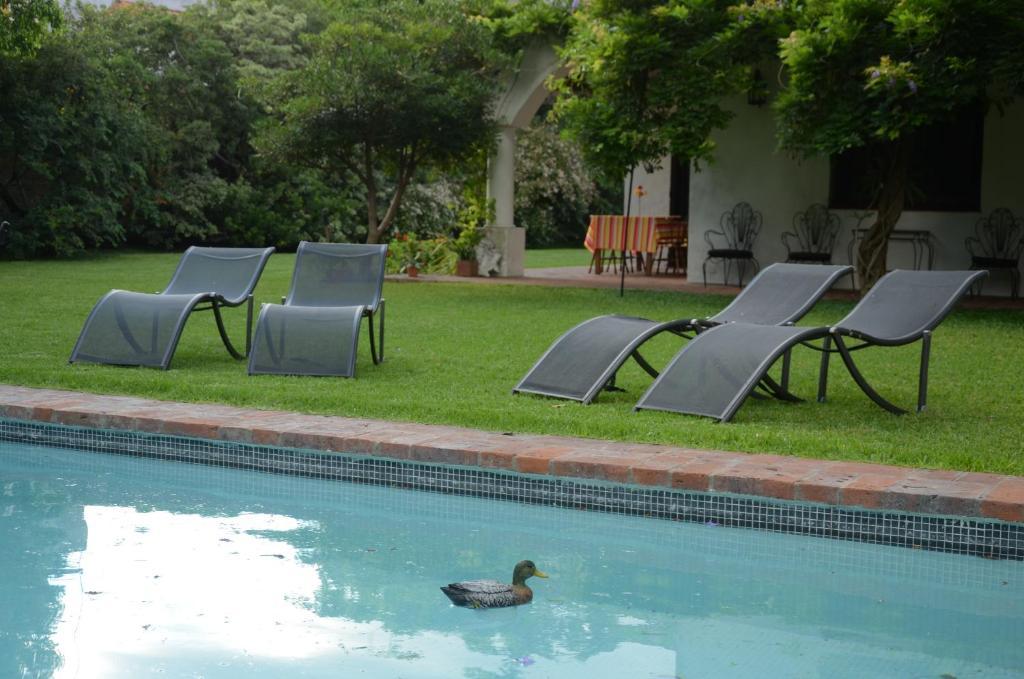 Susana Just Boutique Hotel Vicente Lopez Bagian luar foto